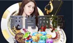 精准24码内部公开